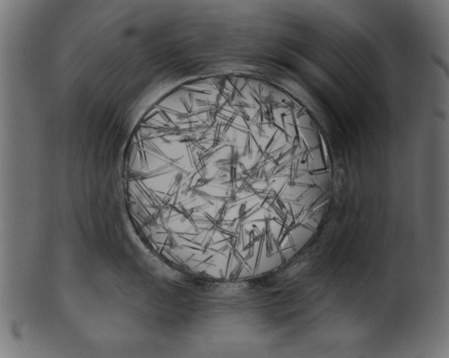 X0000100871055200807181232
