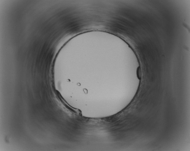 X0000100871056200807181232