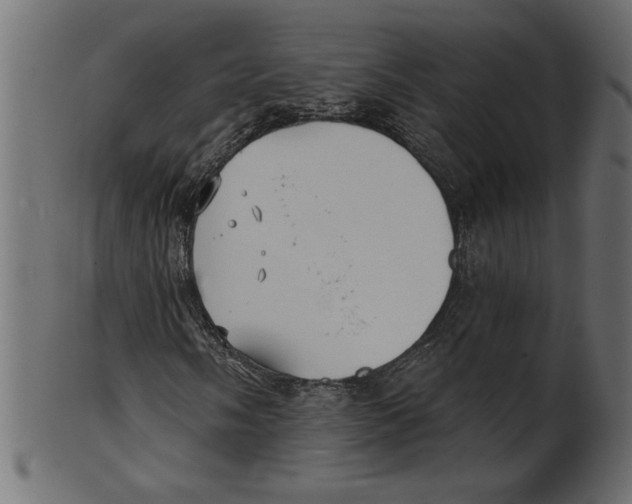 X0000100871058200807181231