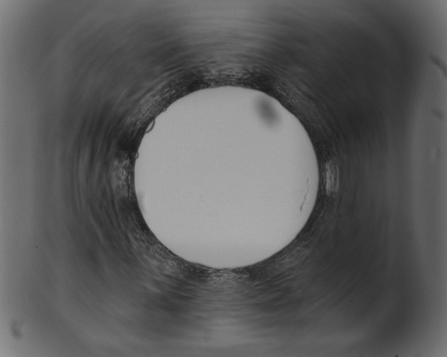 X0000100871059200807181231