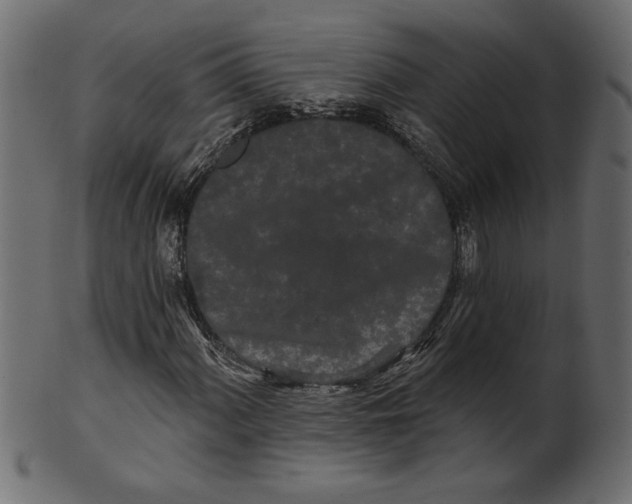X0000100871060200807181231