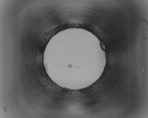 X0000100871061200807181231