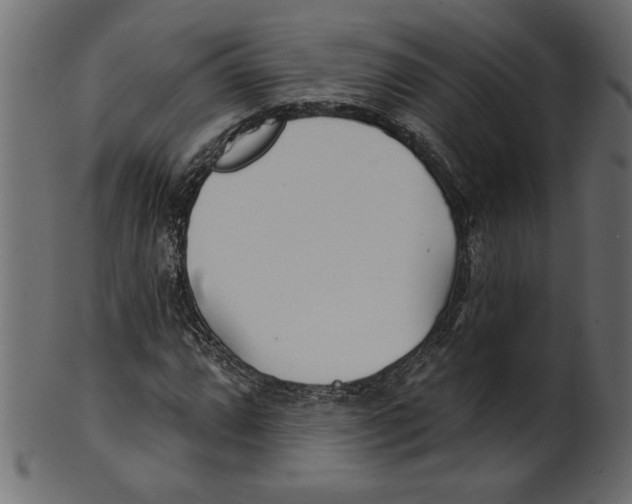 X0000100871064200807181231