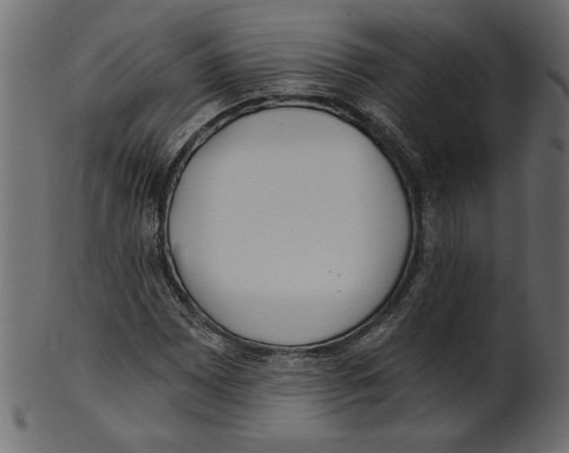 X0000100871065200807181231