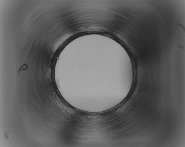 X0000100871066200807181231