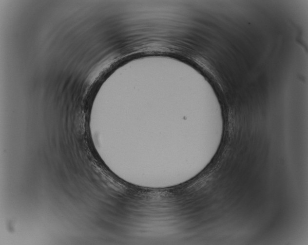 X0000100871067200807181231