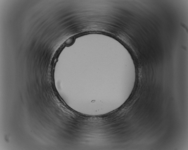 X0000100871068200807181231
