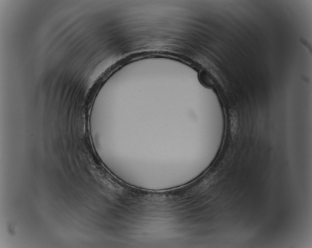 X0000100871069200807181231