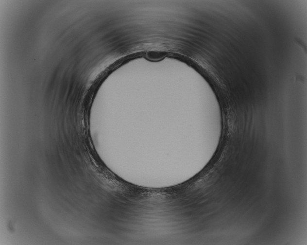 X0000100871070200807181231