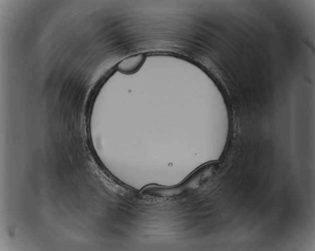 X0000100871072200807181231