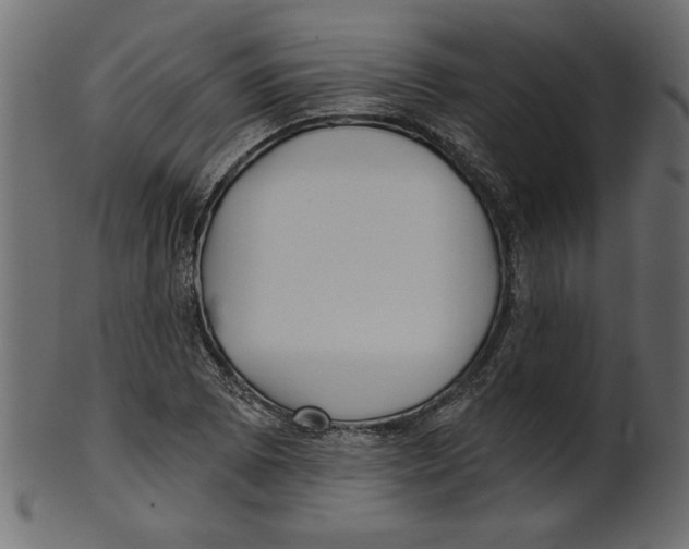 X0000100871073200807181231