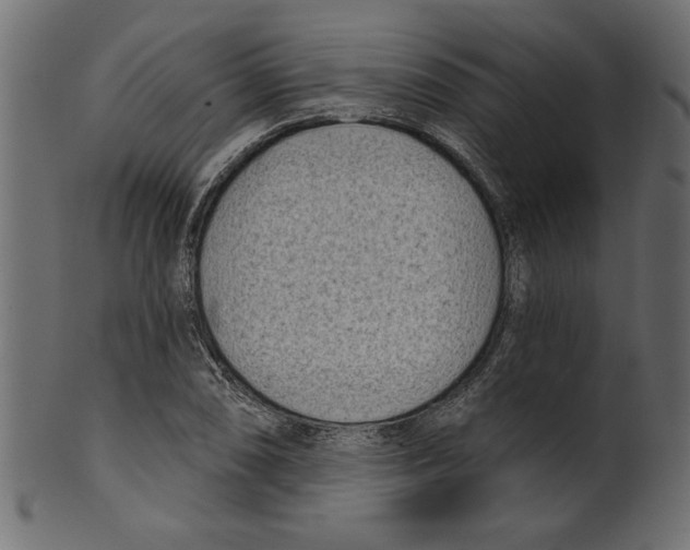 X0000100871074200807181231
