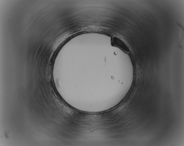 X0000100871075200807181231