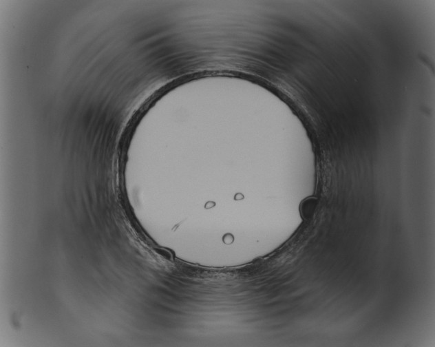 X0000100871076200807181231