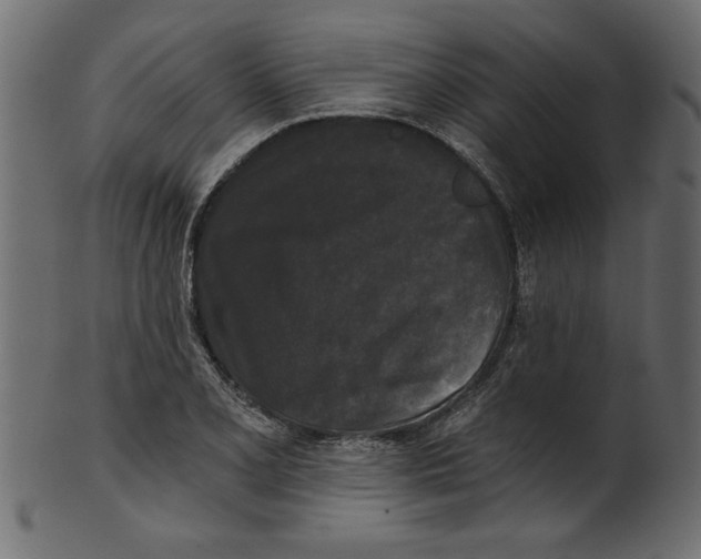 X0000100871077200807181231