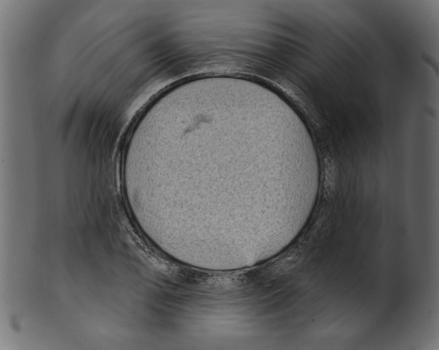 X0000100871078200807181231