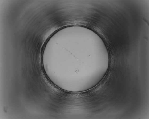 X0000100871079200807181231
