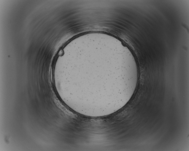 X0000100871080200807181231