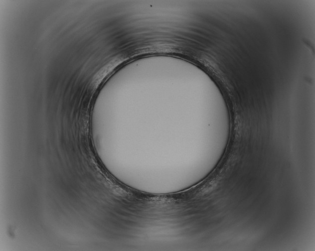 X0000100871081200807181231