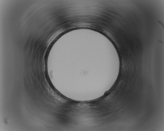 X0000100871082200807181231
