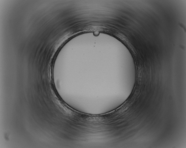 X0000100871083200807181231