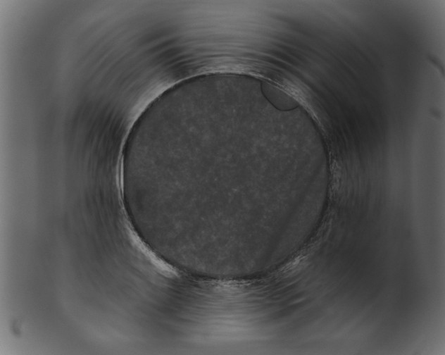 X0000100871084200807181231