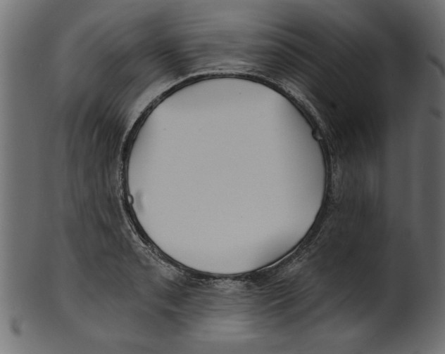X0000100871085200807181231