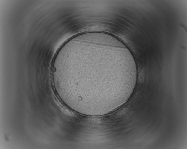 X0000100871086200807181231