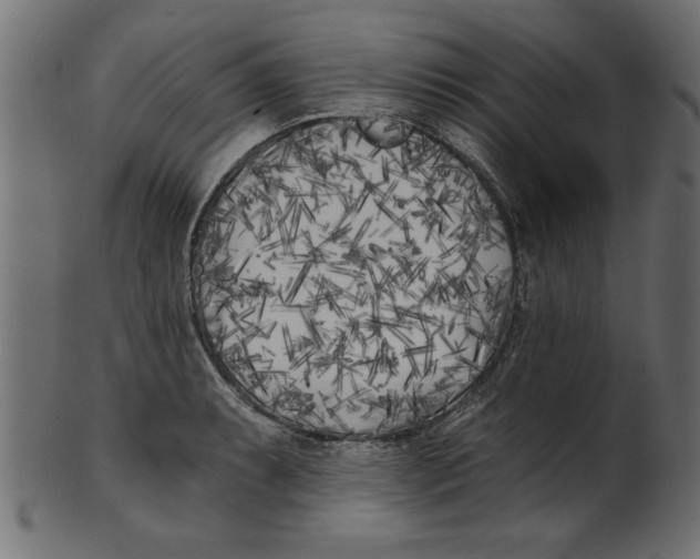 X0000100871087200807181231