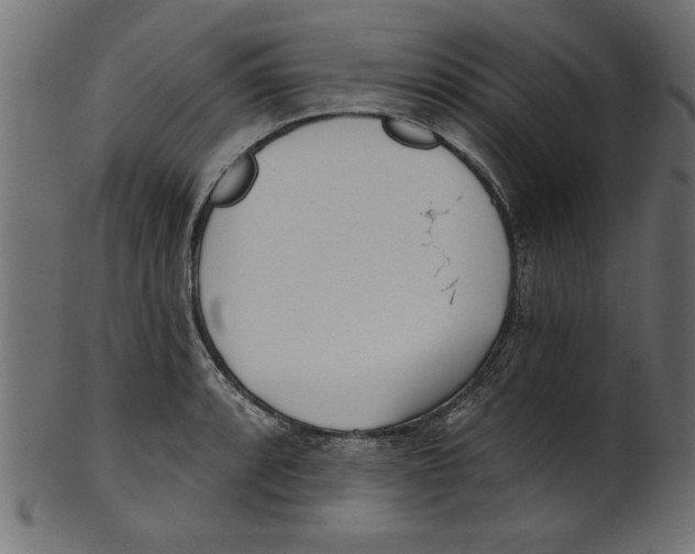 X0000100871088200807181231