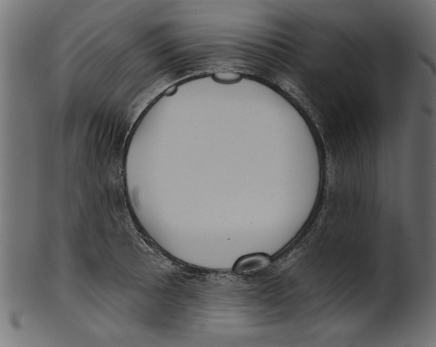 X0000100871089200807181231