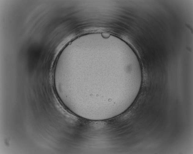 X0000100871090200807181231