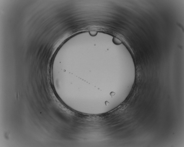 X0000100871091200807181231