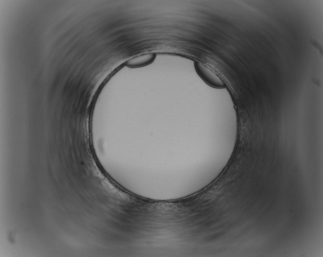 X0000100871092200807181231
