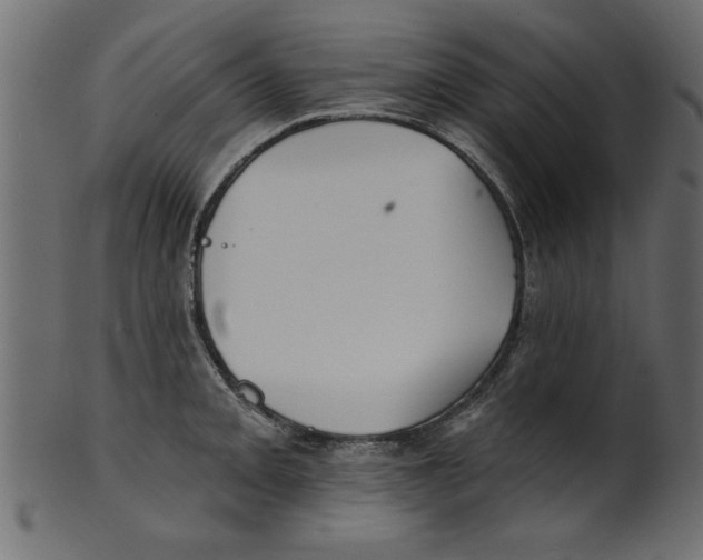 X0000100871093200807181231