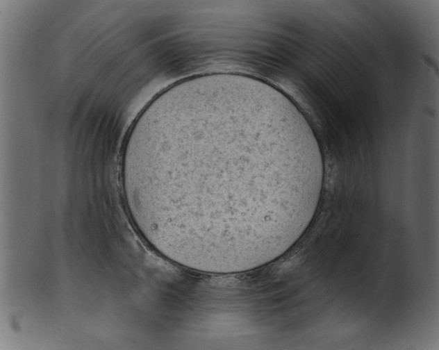 X0000100871094200807181231