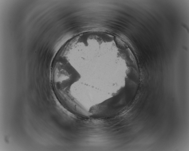 X0000100871095200807181231