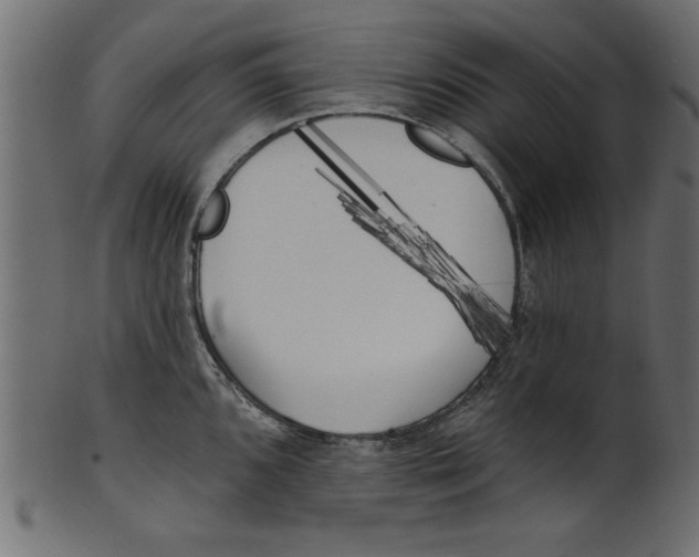 X0000100871096200807181231