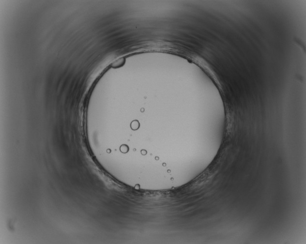 X0000100871099200807181231