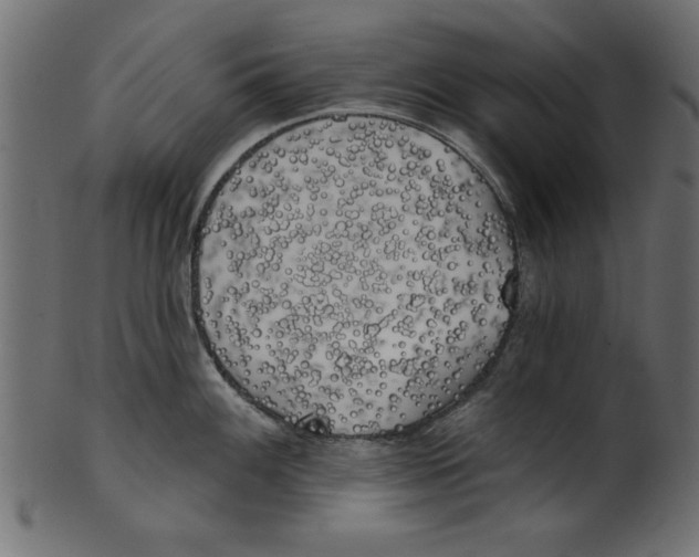 X0000100871100200807181231