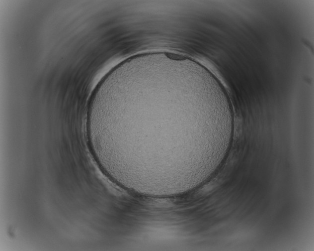 X0000100871101200807181231