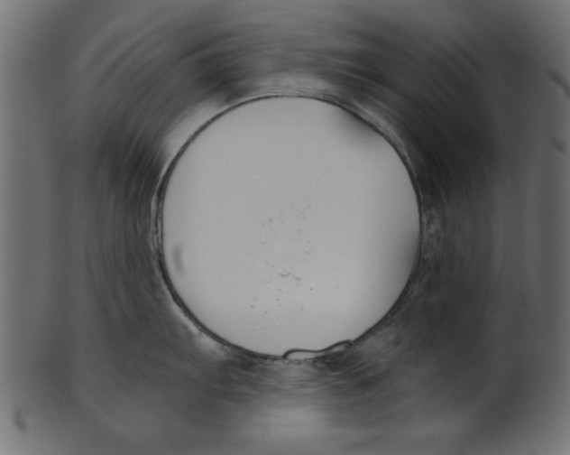 X0000100871103200807181231