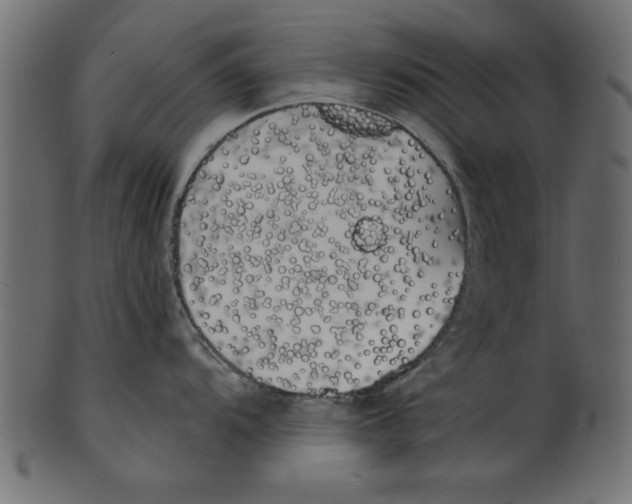 X0000100871104200807181231