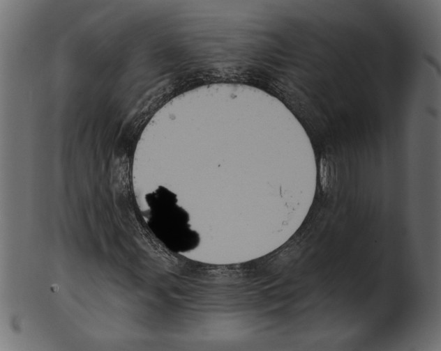X0000100871107200807181230