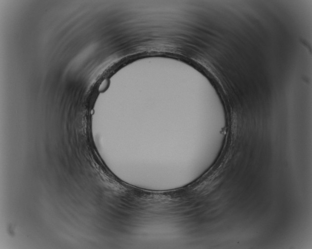 X0000100871115200807181230