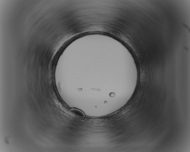 X0000100871116200807181230