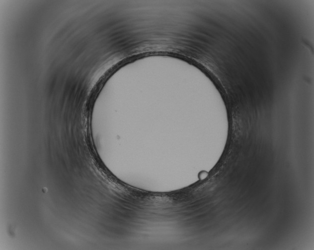 X0000100871119200807181230