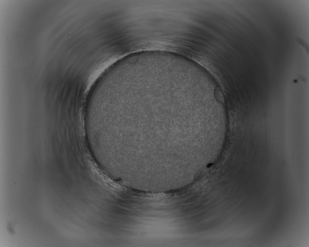 X0000100871120200807181230