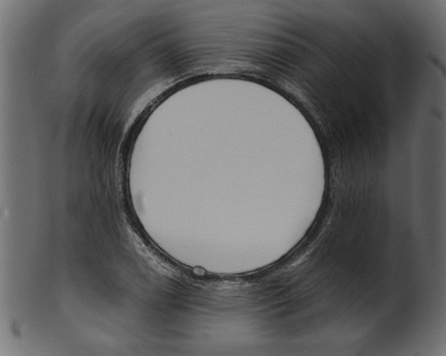 X0000100871122200807181230