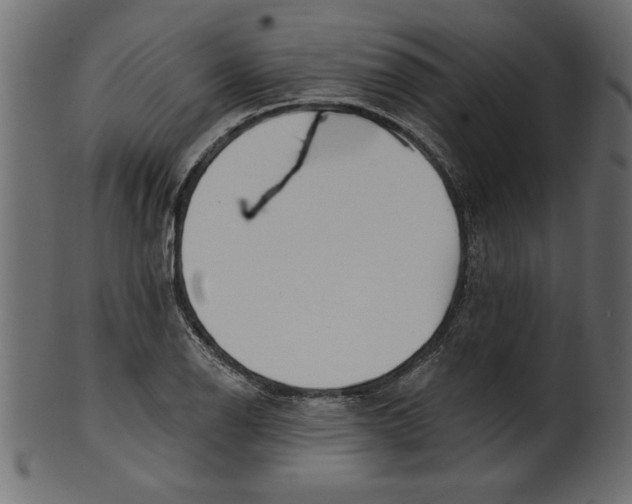 X0000100871126200807181230